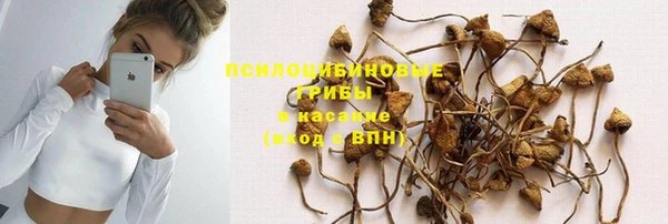 не бодяженный Алзамай