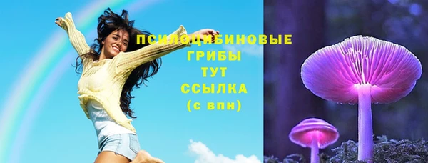 соль курить ск Алексеевка