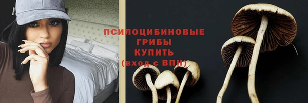 соль курить ск Алексеевка