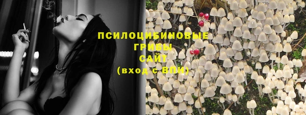 не бодяженный Алзамай
