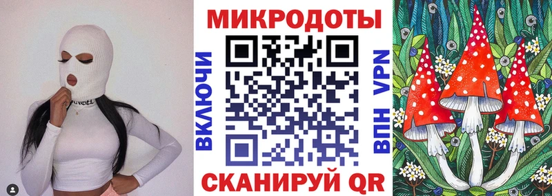 купить наркотик Кирс Галлюциногенные грибы Psilocybe